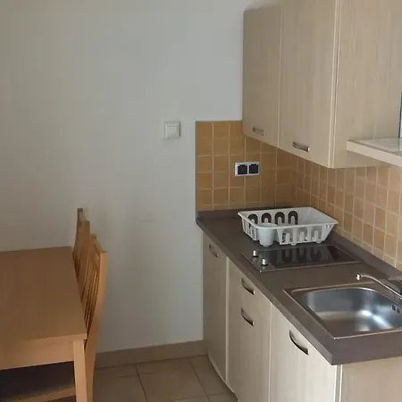 アパートホテル Centrum Apartman ミシュコルツ